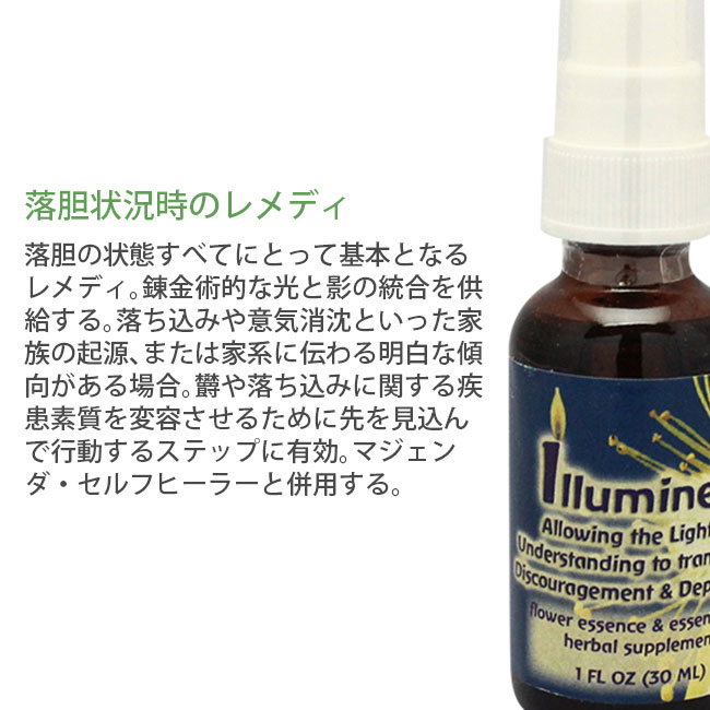 FES フラワーエッセンス ポストトラウマ 日本国内正規品 30ml スタビライザー フローリッシュ スプレー フォーミュラシリーズ