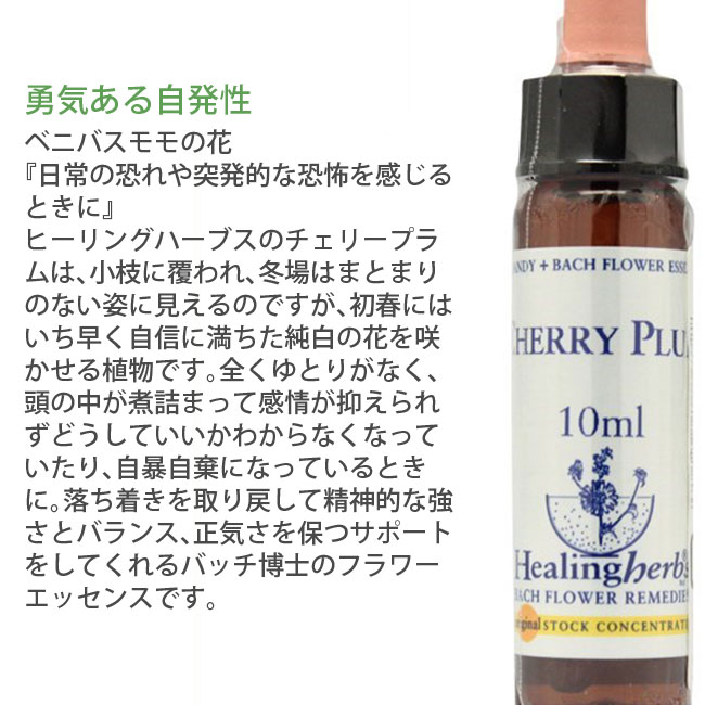 2021年春の クラシックフラワーエッセンス 40本×15ml econet.bi