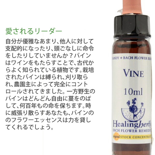 ㋩マルオ様1660+1560×3=6340ヒーリングハーブス社フラワーエッセンス 41VwXg8pe-L.jpg_BO30,255,255,