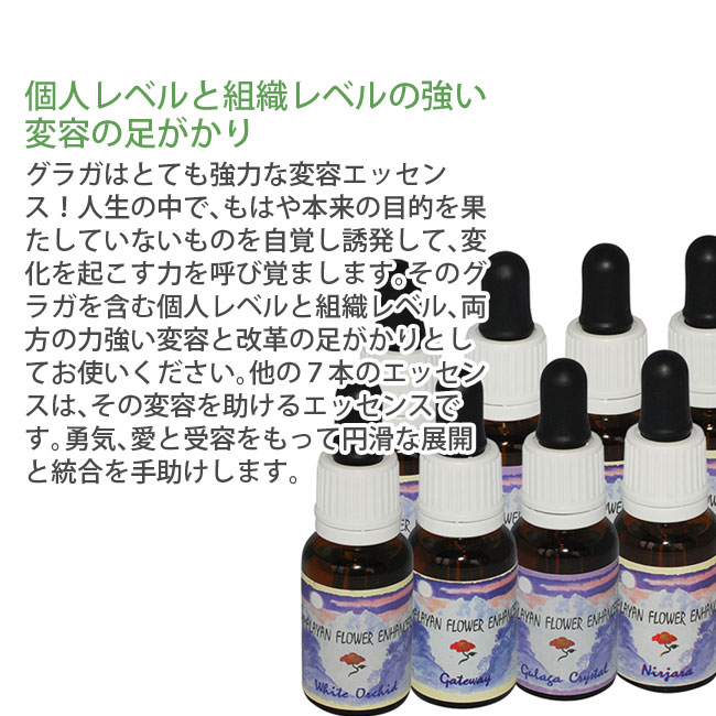 フラワーエッセンス　トランスフォーメーションキット トランスフォーメーションキット | ブランド一覧,ヒマラヤン