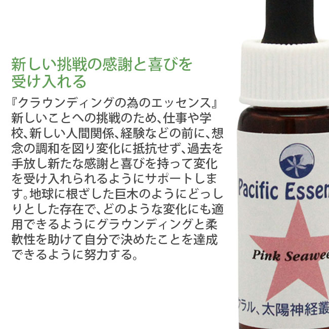 フューシャ パシフィック フラワーエッセンス 世界の