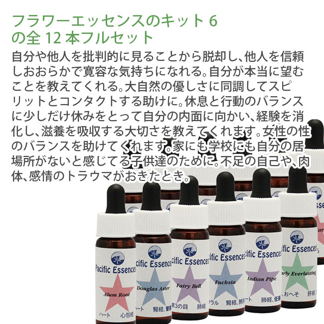 フラワーエッセンス キット6 全12本セット パシフィックエッセンス 