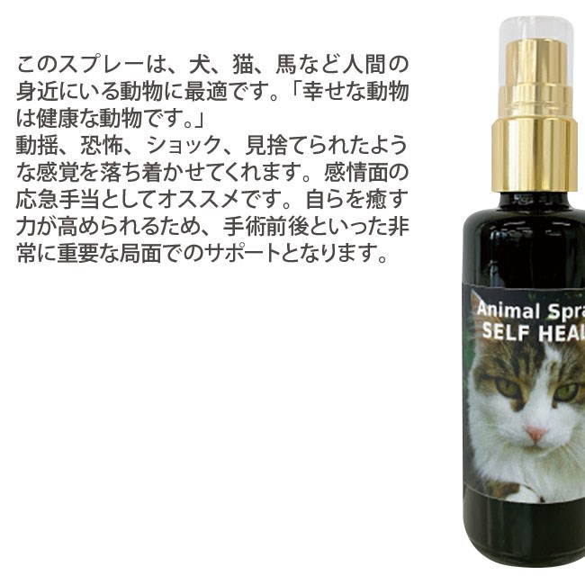 アニマルスプレーセルフヒール 50ml コルテPHIエッセンス アニマルスプレー |  | 01
