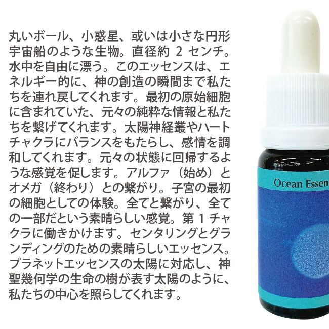 No.12 コルテPHIエッセンス オーシャンエッセンス |  | 01