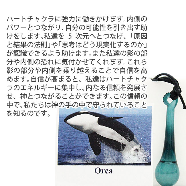オルカのエッセンス入りペンダント コルテPHIエッセンス その他 : 癒や