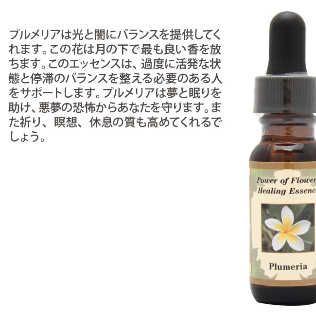 プルメリア Plumeria パワーオブフラワーヒーリング その他シングルエッセンス |  | 01