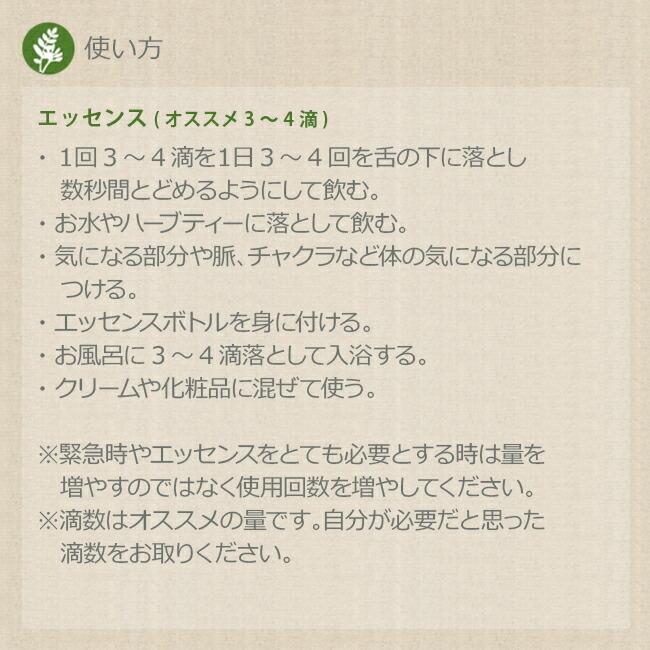 ブランド レンジオブライト フラワーエッセンス 48本キット 解説書付 FESフラワーエッセンス 【XU1208614431】 (44174円)
