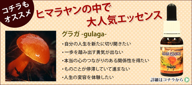 ヒマラヤントランスミューテーション