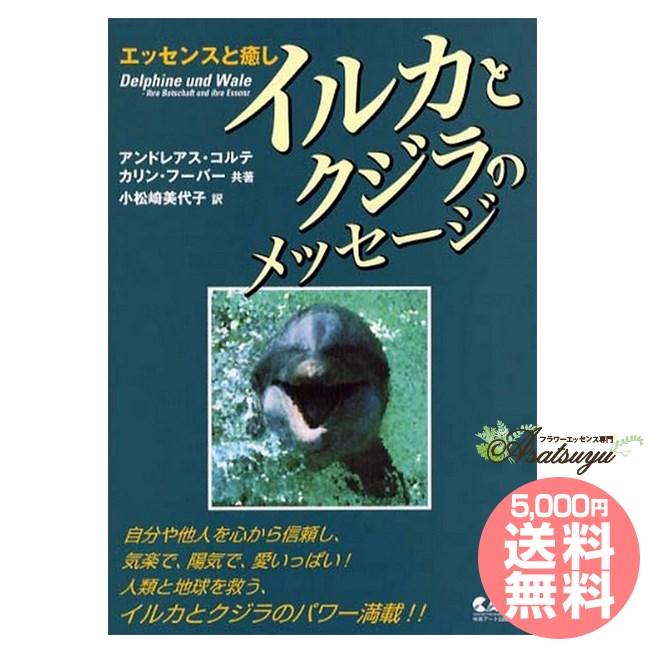 コルテPHIエッセンス イルカとクジラのメッセージ｜asatsuyu