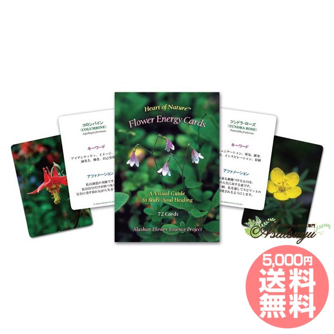 フラワーエナジーカード全72枚 アラスカン・エッセンス その他 ガーディアン スプレー アラスカン・エッセンス フラワーエッセンス 60ml