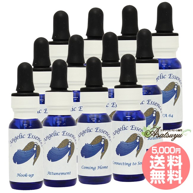 スピリチュアルな成長と目覚めのキット全12本セット アンジェリックエッセンス スピリチュアルな成長と目覚めのキット