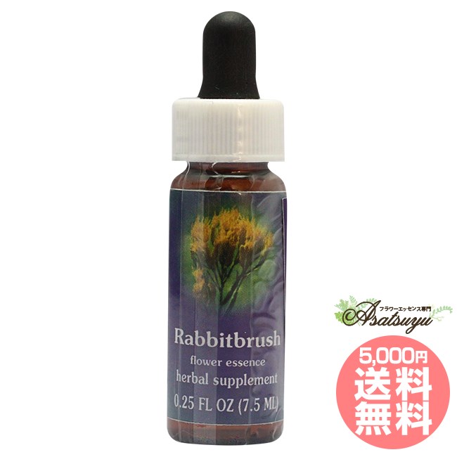 予約品】ダグラスファー パワーオブフラワーヒーリング