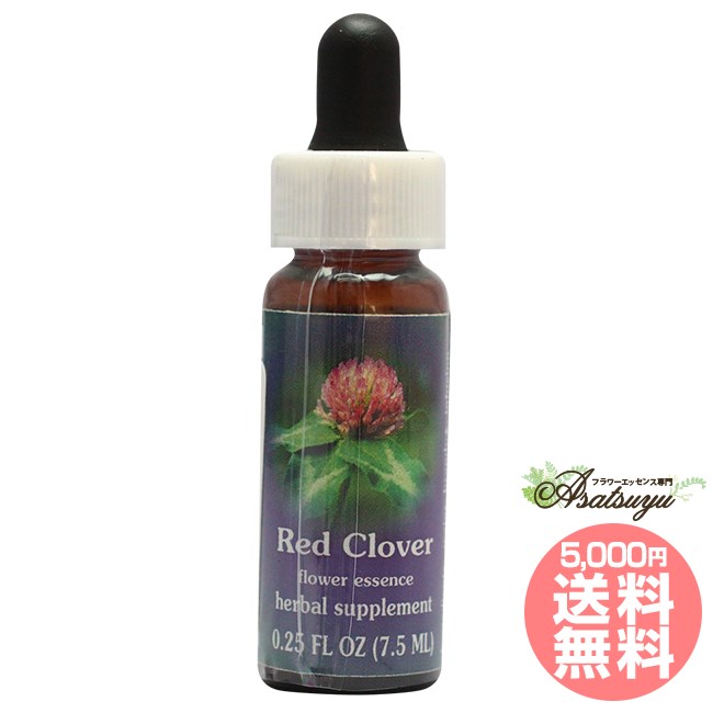 価格交渉ok送料無料 Fesフラワーエッセンス レッドクローバー クイントエッセンス 芳香器 アロマポット