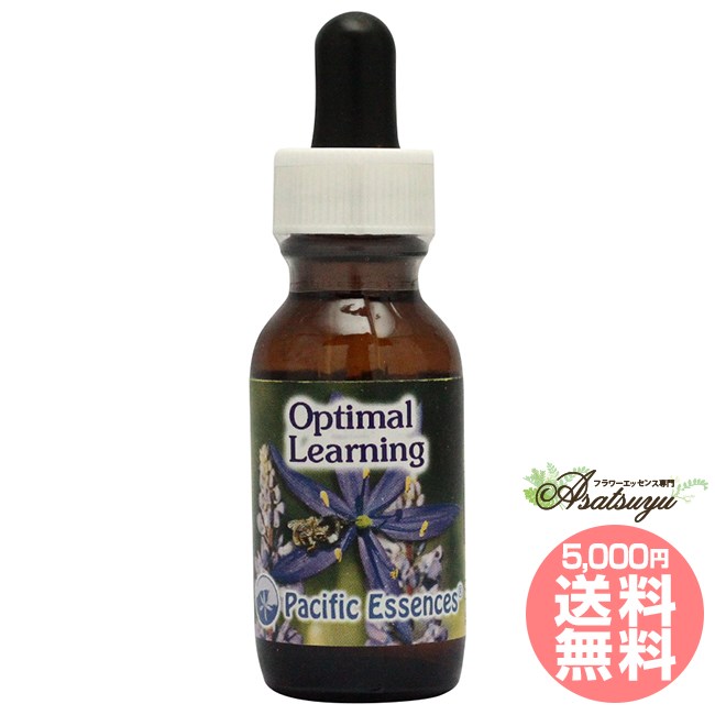 237 クリアリングリピーティングメモリー アンジェリックエッセンス