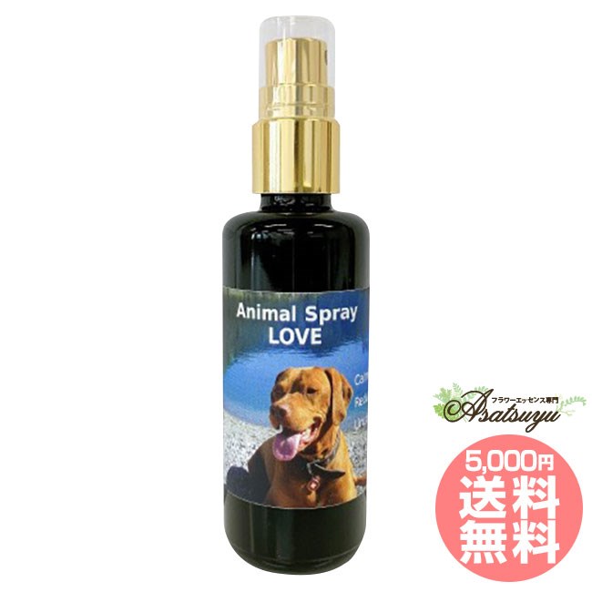 アニマルスプレーラブ Animal Spray Love 50ml コルテPHIエッセンス アニマルスプレー フラワーエッセンス | 