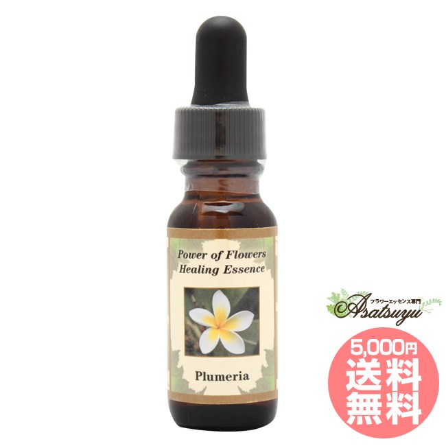 プルメリア Plumeria パワーオブフラワーヒーリング その他シングルエッセンス | 