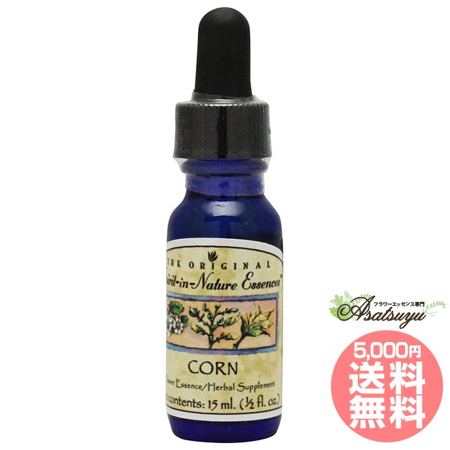 237 クリアリングリピーティングメモリー アンジェリックエッセンス