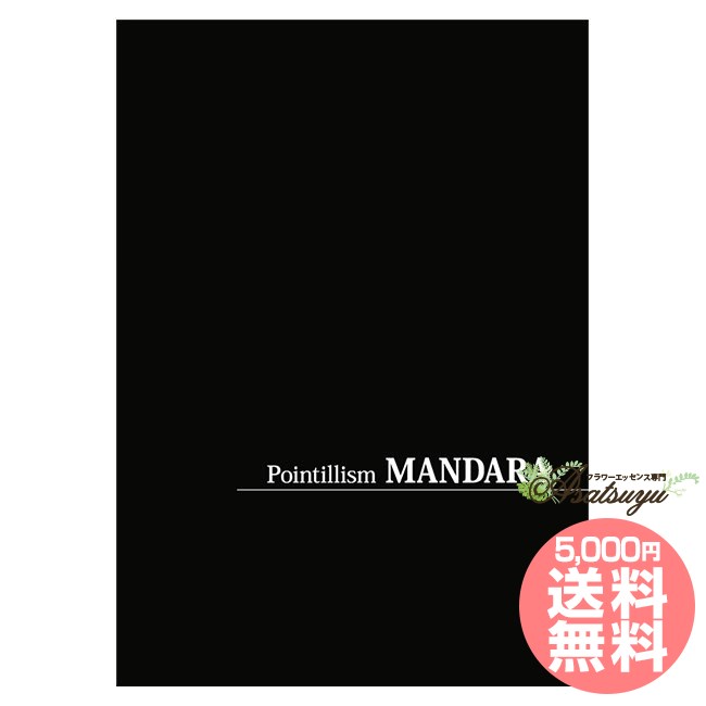 画集「Pointillism MANDARA」