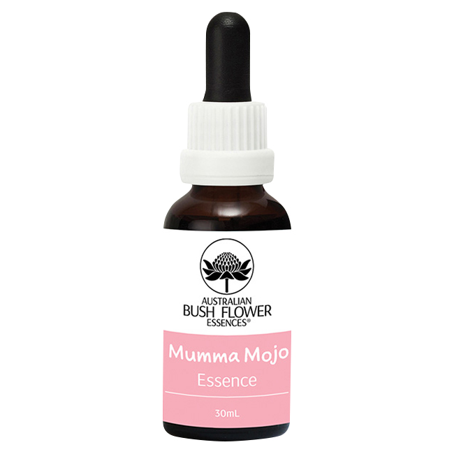 ケアラー 介護者 オーストラリアンブッシュ コンビネーション