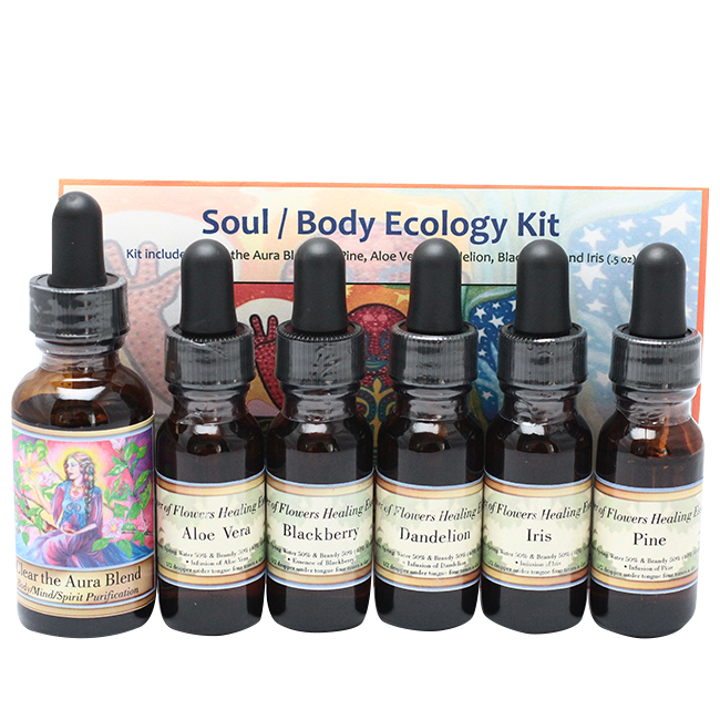シルバーソード 30ml パワーオブフラワーヒーリング