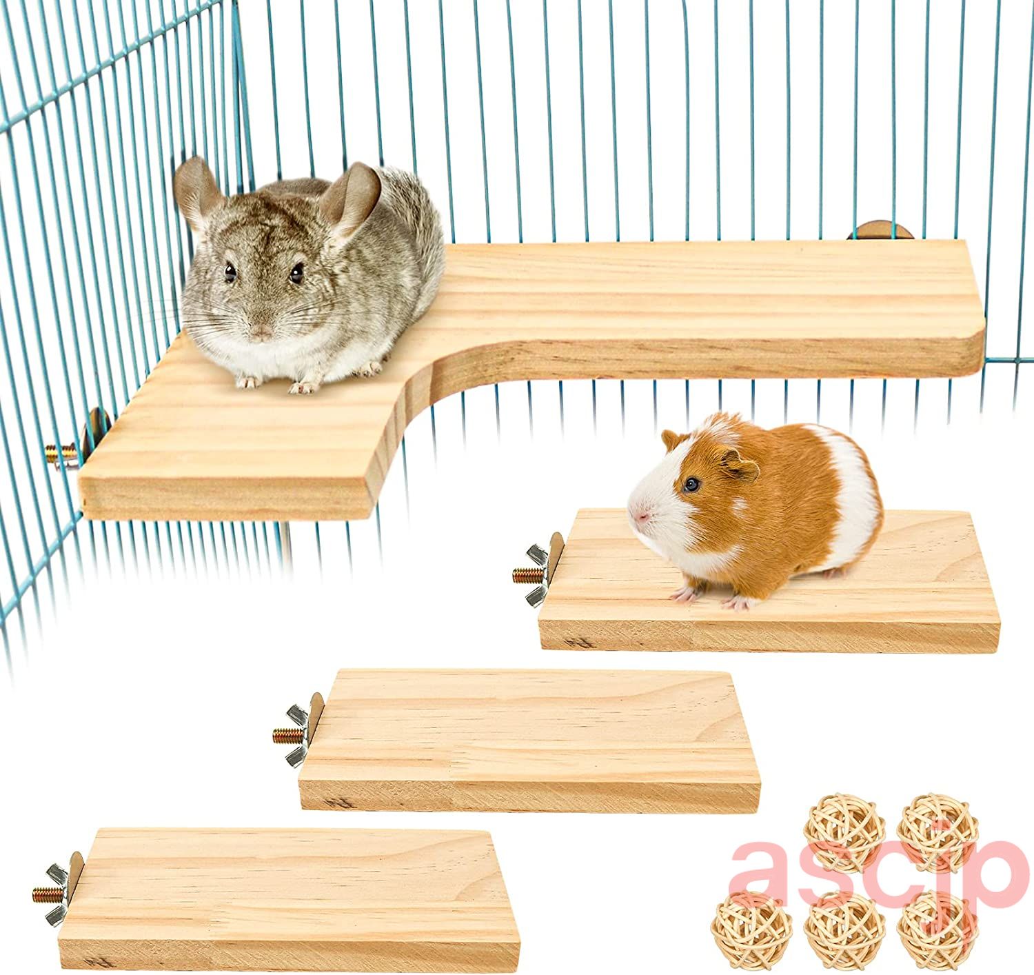 シマリス飼育セットのおすすめ人気商品一覧 通販 - Yahoo!ショッピング