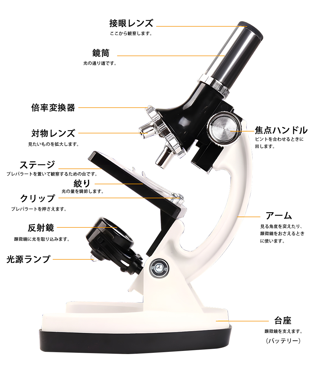 顕微鏡 子供用 キッズ 1200倍 LED ライト ルーペ 拡大鏡 虫眼鏡 LED