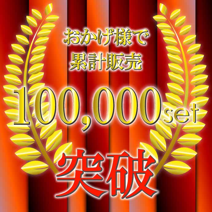D4C/D4S/D4R HIDバルブ純正交換用2本入 35W 3000K/4300K/6000K/8000K/10000K/12000Kバーナー