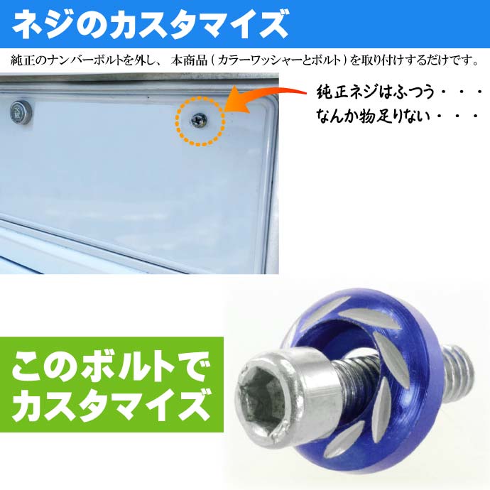 ナンバープレートボルト ネジ カラーワッシャー 2個