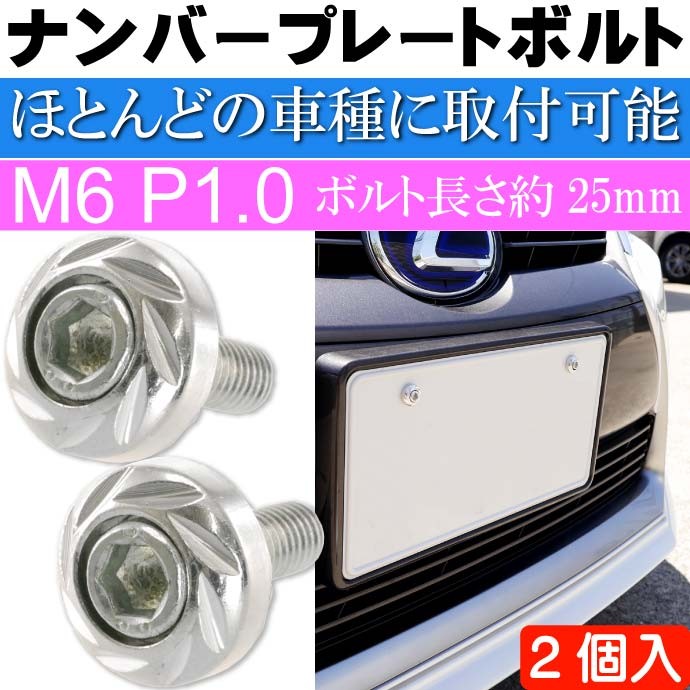 ナンバープレートボルト ネジ カラーワッシャー 2個