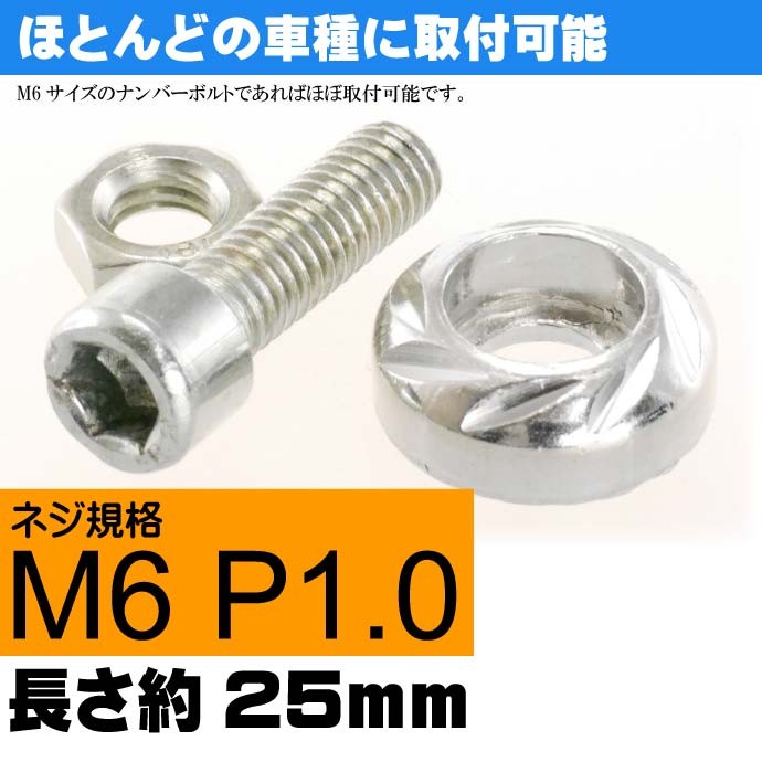 ナンバープレートボルト ネジ カラーワッシャー 2個