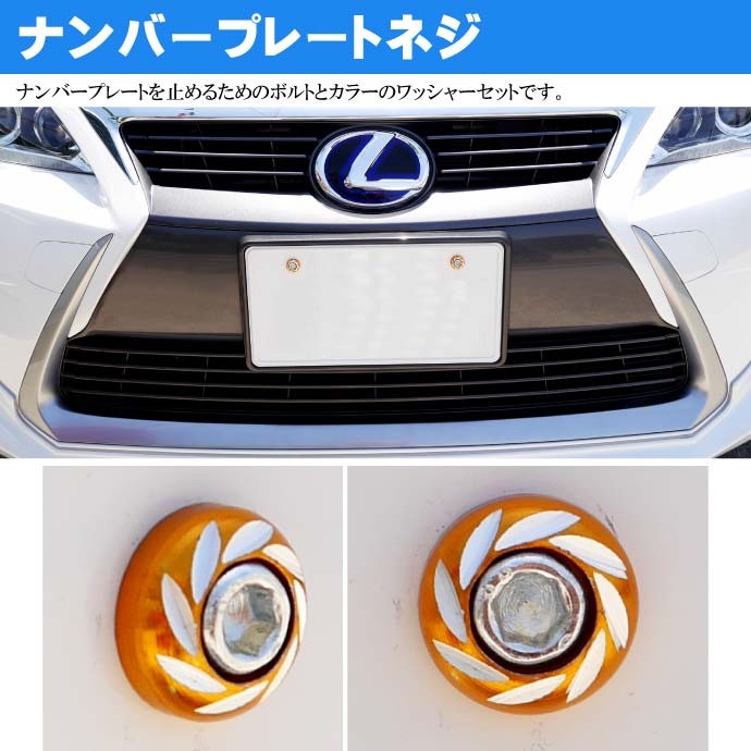 ナンバープレートボルト ネジ カラーワッシャー 2個