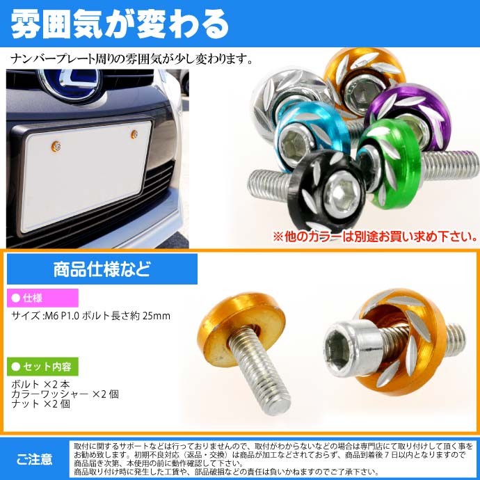 ナンバープレートボルト ネジ カラーワッシャー 2個