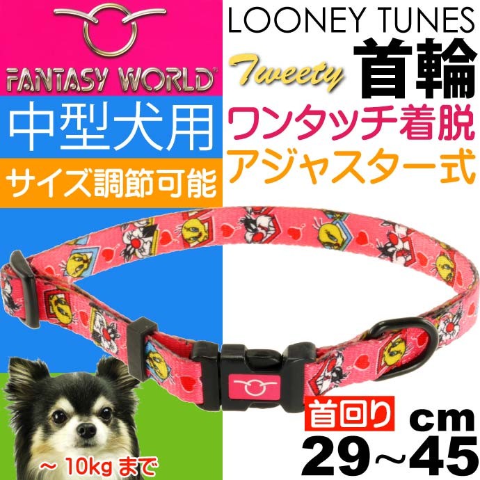 トゥイーティー 中型犬用 首輪 赤 幅15mm 首回り29〜45cm ペット用品