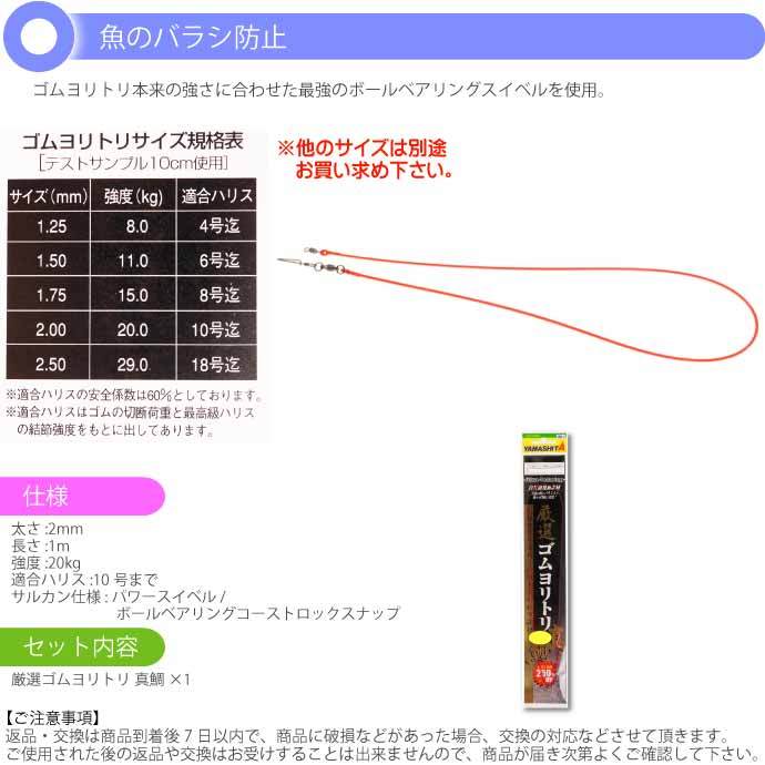 クッションゴム 厳選ゴムヨリトリ 真鯛