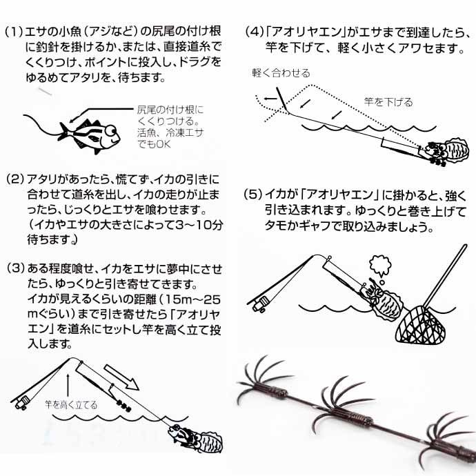 アオリヤエン LL 3段