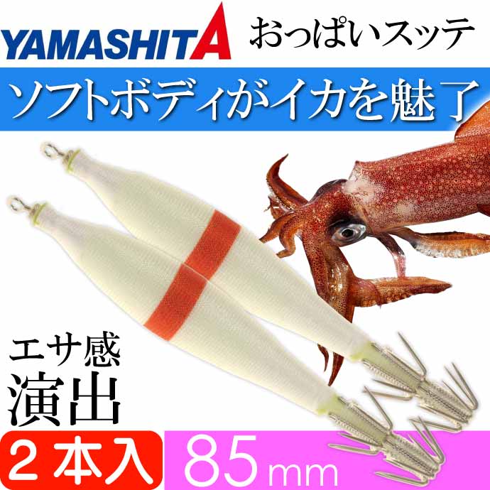あいや〜スッテ　3個セットで　未使用品 楽天市場】【数量限定！お得なお試し価格】タナジグ(TANAJIG