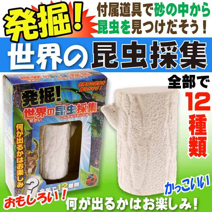 発掘！世界の昆虫採集