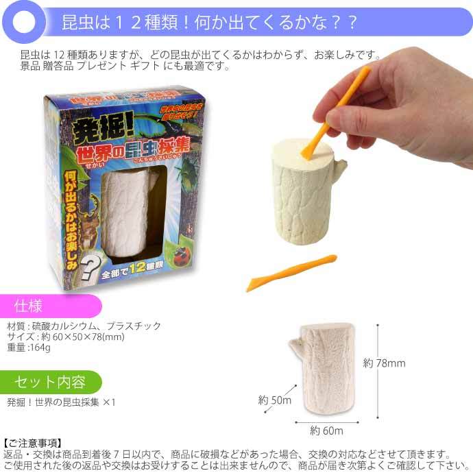 発掘！世界の昆虫採集