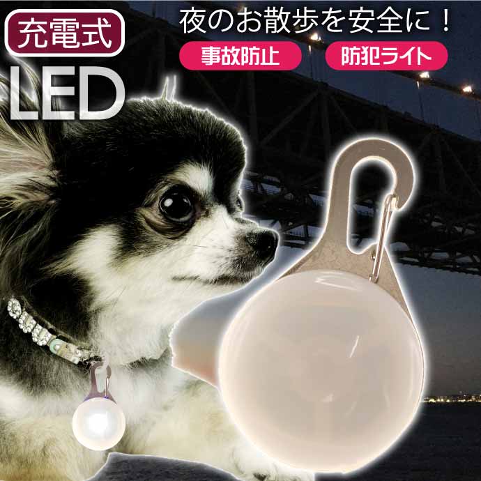 お散歩LEDライト 充電式 首輪用 防犯ライト 光るLED首輪ライト セーフティライト ペット用品