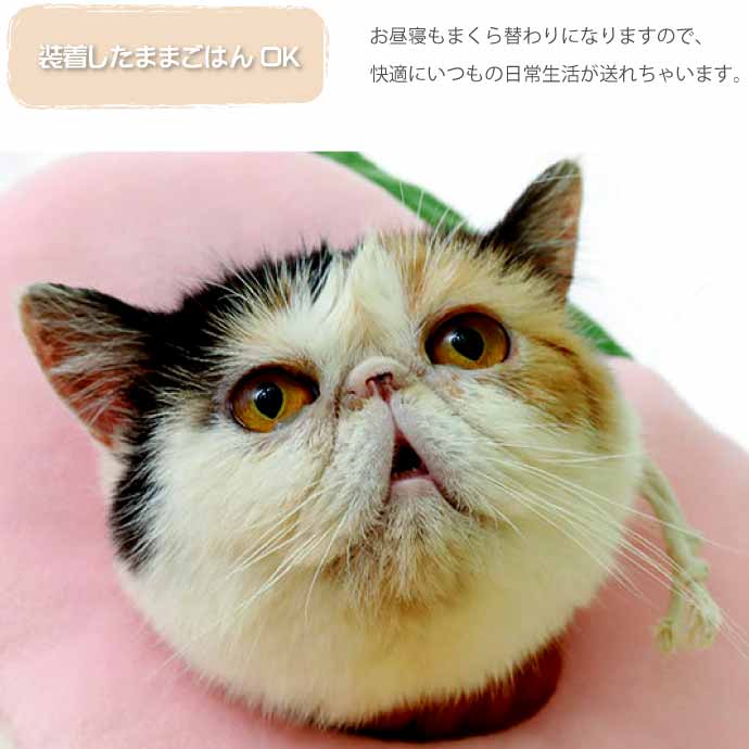 犬 猫 エリザベスカラー 桃 首周り15〜25cm Rk294