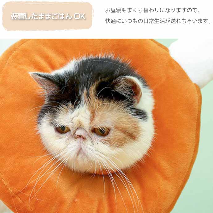 犬 猫 エリザベスカラー チキン 首周り15〜25cm