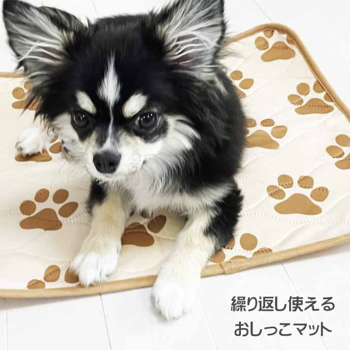 防水 ペットマット おもらし おむつマット S ペットシーツ トイレ