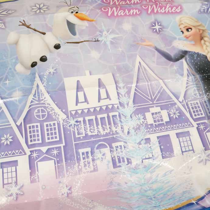 ソフトレジャーシート 90×60cm ござ VS1