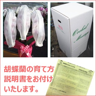 安心梱包サービス