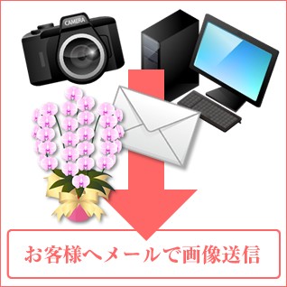 立札・のし紙・メッセージカード