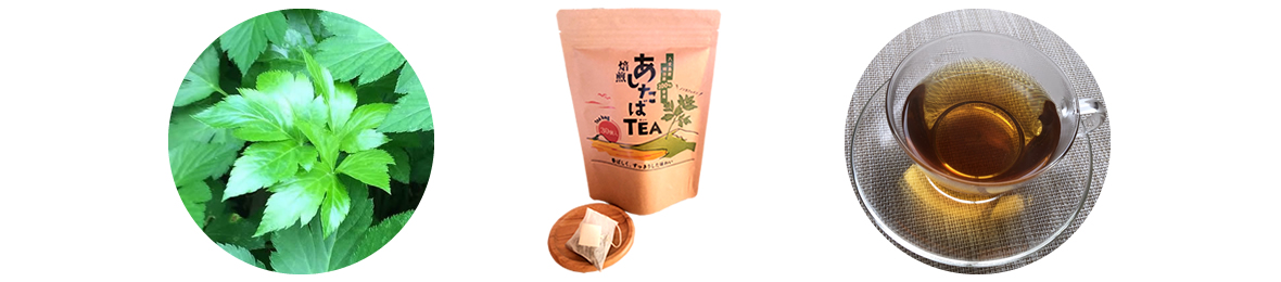あしたばひめYahoo!店 ヘッダー画像