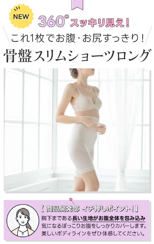 芦屋美整体 ブランド公式【在庫限りの大特価】芦屋美整体 骨盤スリム