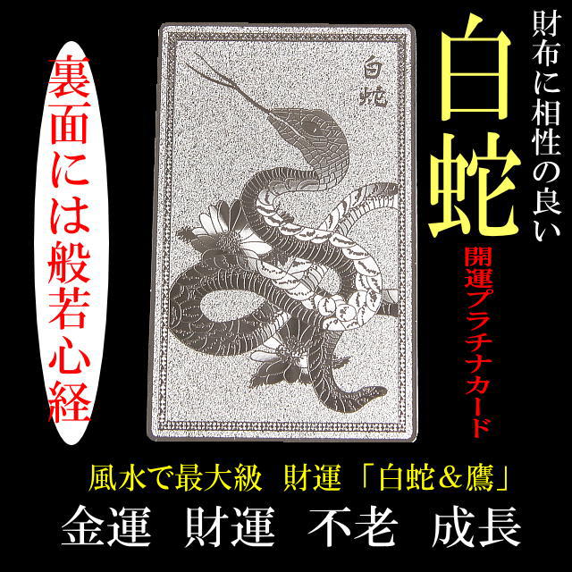 2025年良い年になりますように財布に入れて開運祈願/金護符=守護符/金運・恋愛運・勝負運・ 厄除け・商売〓盛・長寿