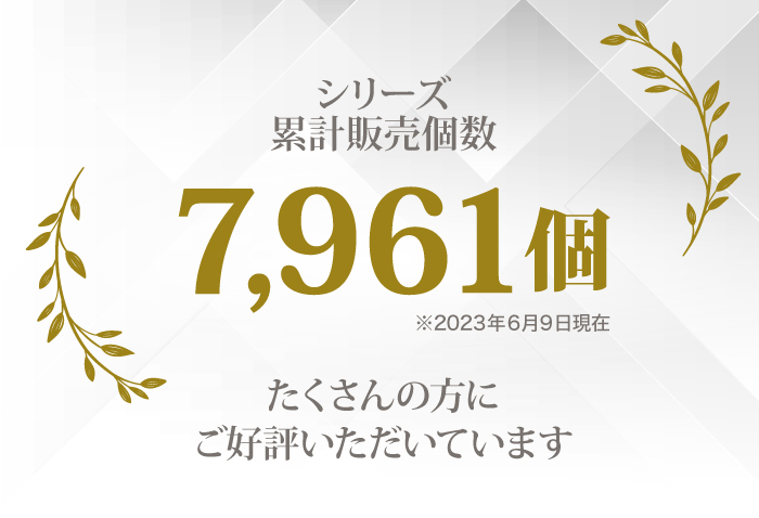 累計販売数 チャーム付き メモリアルカプセル フォトボックス付き 遺骨カプセル 刻印 
