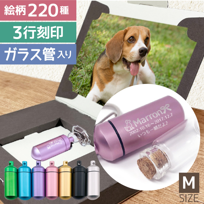 フォトボックス付き 遺骨カプセル ペット 刻印 ペットロスカプセル キーホルダーMサイズ